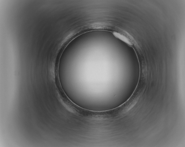 X0000110770530200906221144