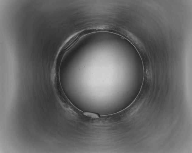 X0000110770532200906221144