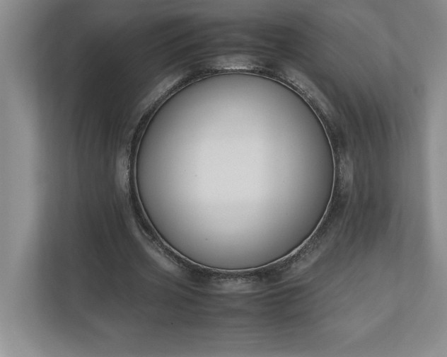 X0000110770533200906221144