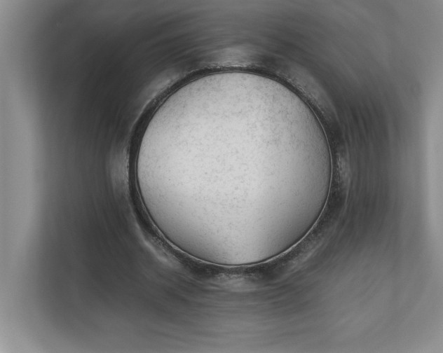 X0000110770534200906221144