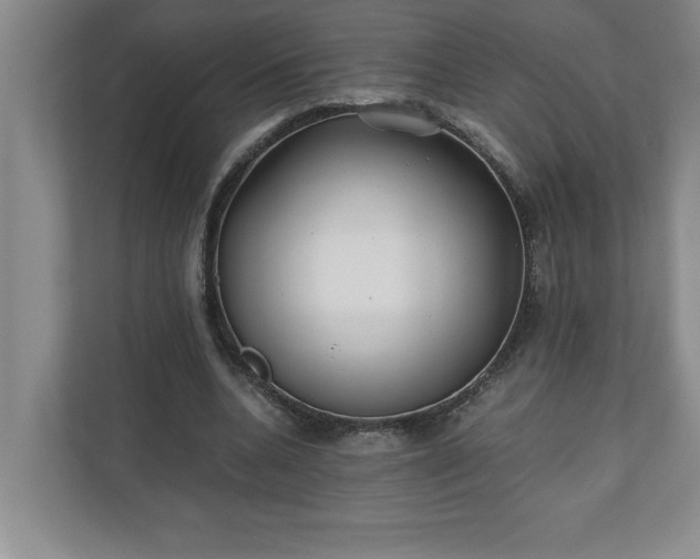 X0000110770536200906221144