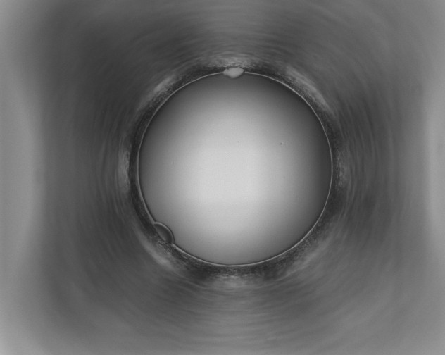 X0000110770538200906221144