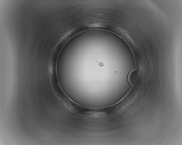 X0000110770539200906221144