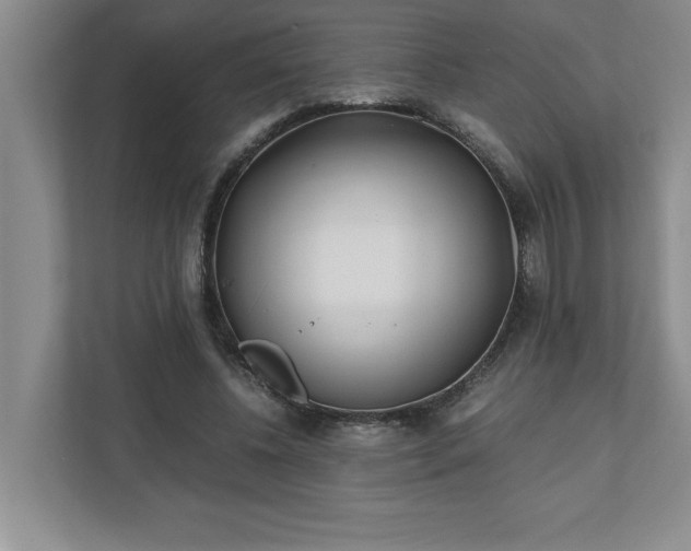 X0000110770540200906221144