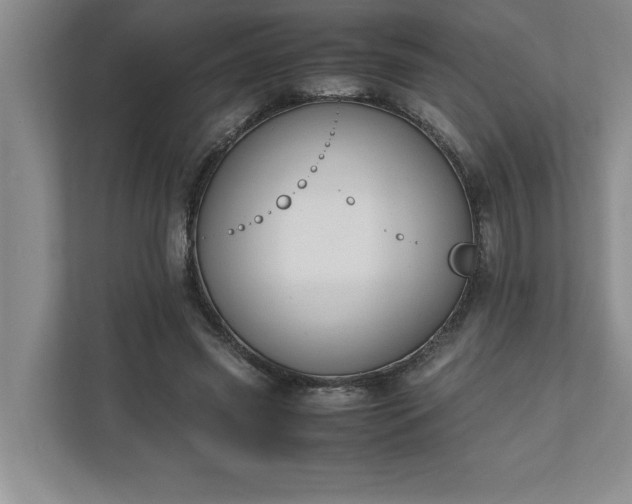 X0000110770541200906221144