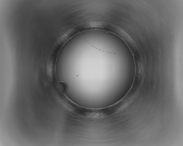 X0000110770542200906221144