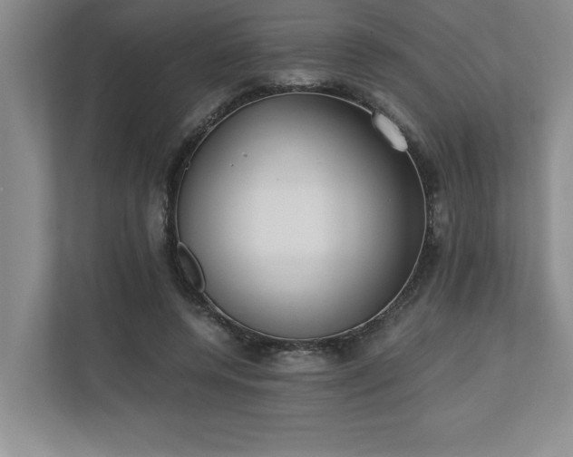 X0000110770544200906221144