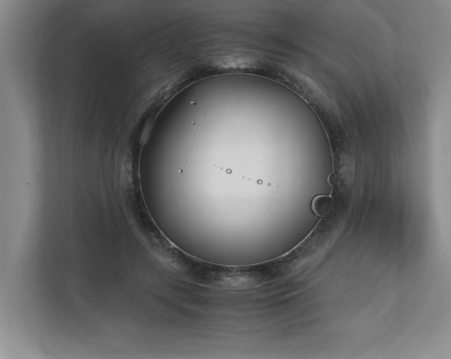 X0000110770547200906221144