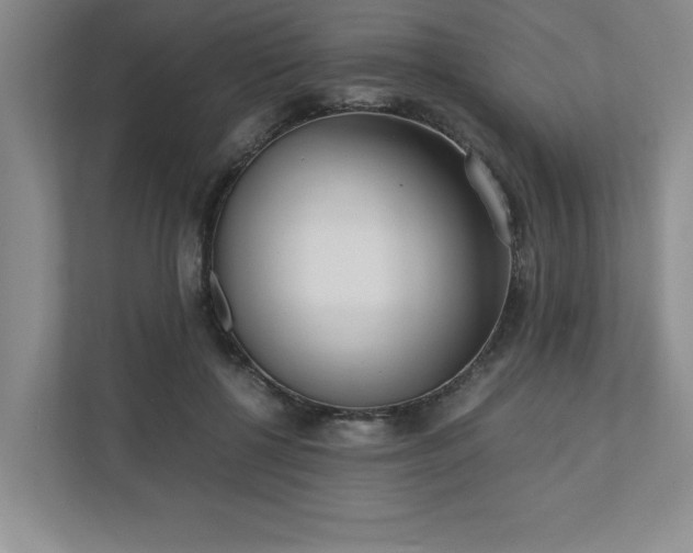 X0000110770552200906221144