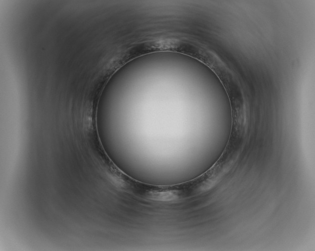 X0000110770553200906221144