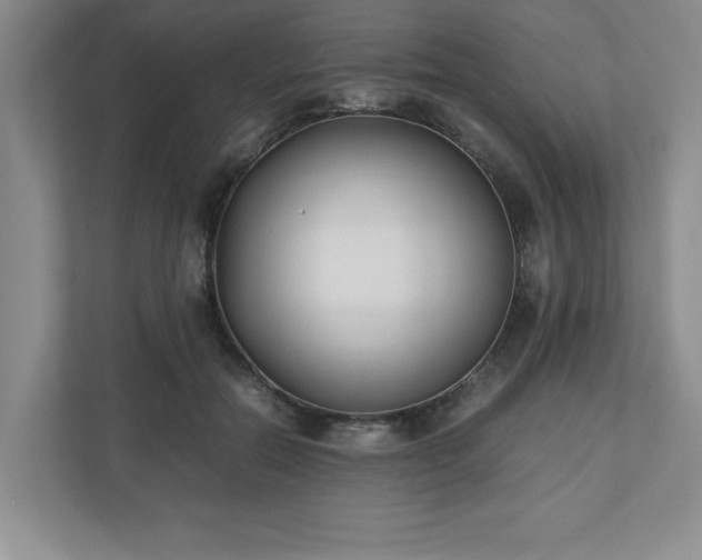 X0000110770554200906221144