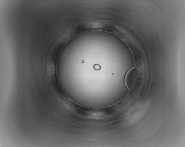 X0000110770555200906221144