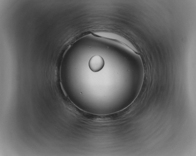 X0000110770556200906221144