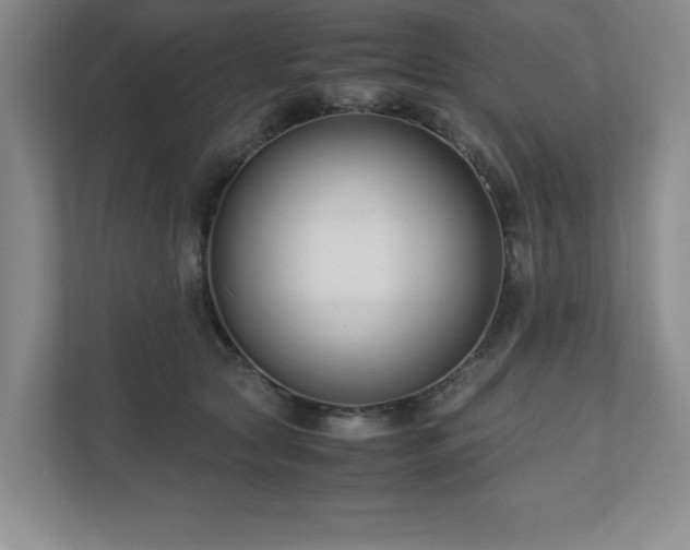 X0000110770561200906221144