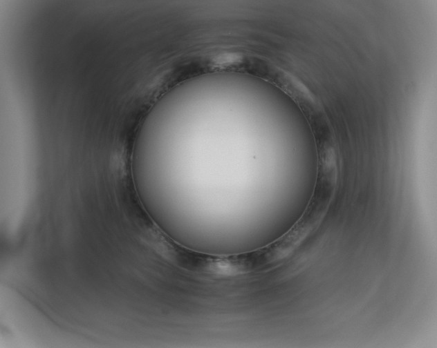 X0000110770565200906221144