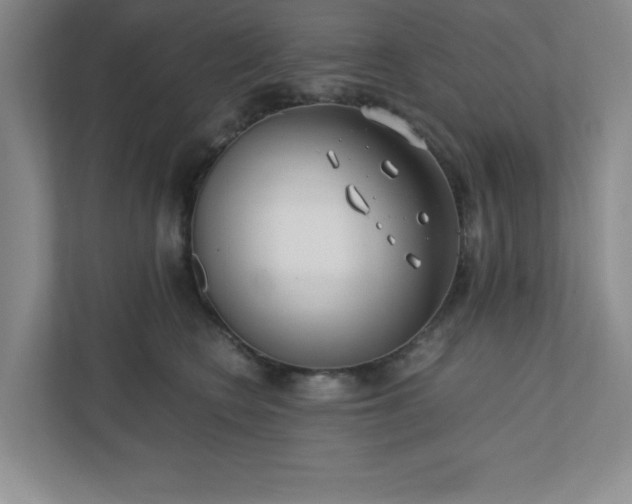 X0000110770566200906221144