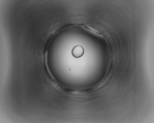 X0000110770568200906221144