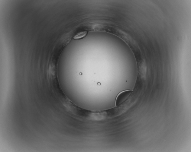 X0000110770571200906221144