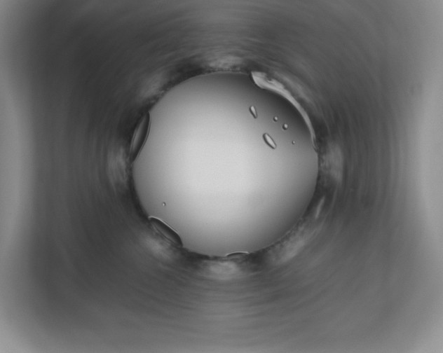 X0000110770572200906221144