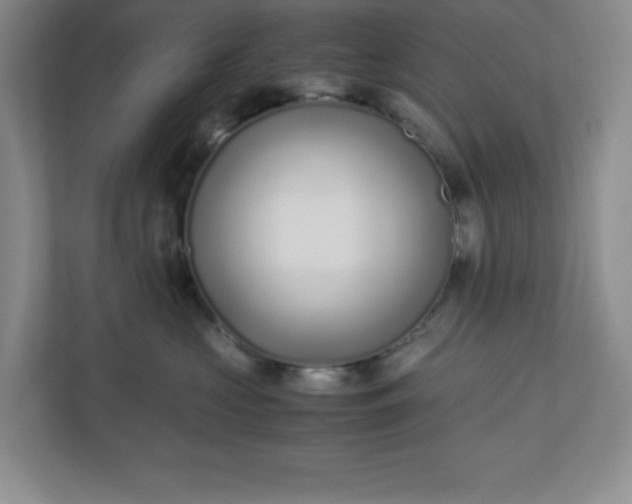 X0000110770573200906221144