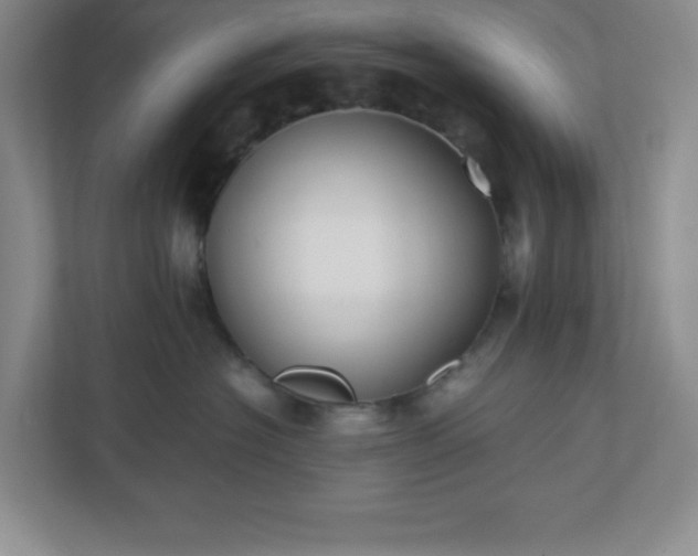 X0000110770574200906221144