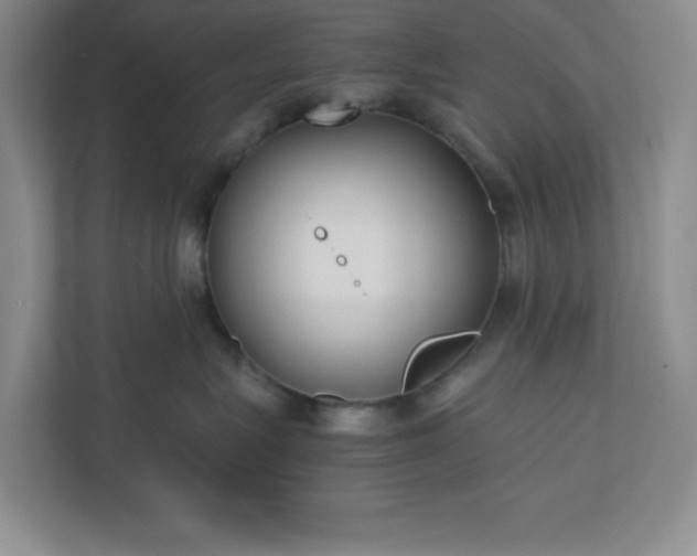 X0000110770575200906221144