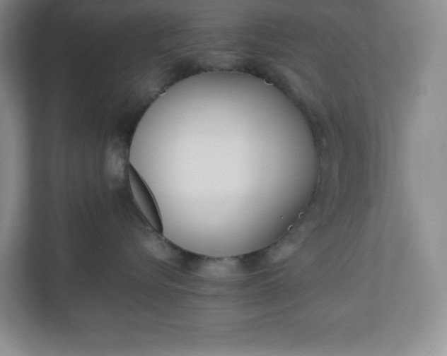 X0000110770576200906221144