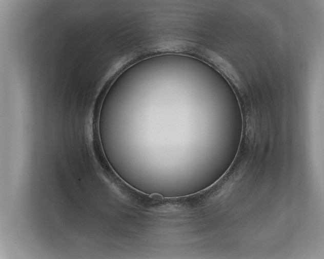 X0000110770578200906221144