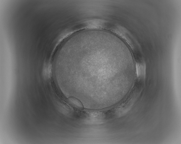 X0000110770579200906221144