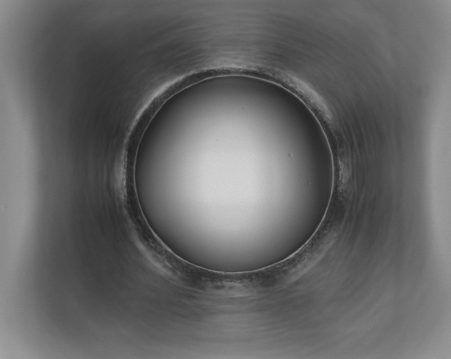 X0000110770580200906221144