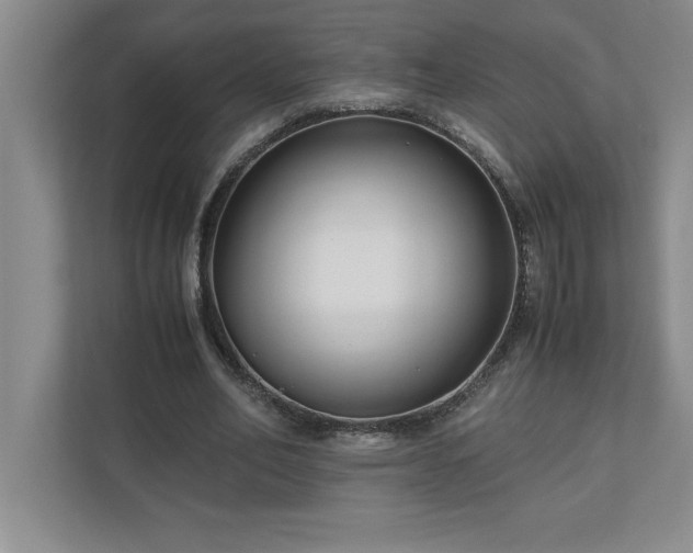 X0000110770582200906221144