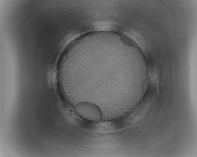 X0000110770583200906221144