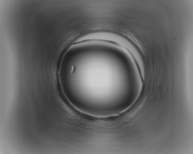 X0000110770585200906221144