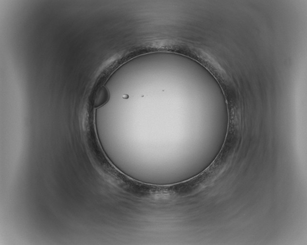 X0000110770587200906221144