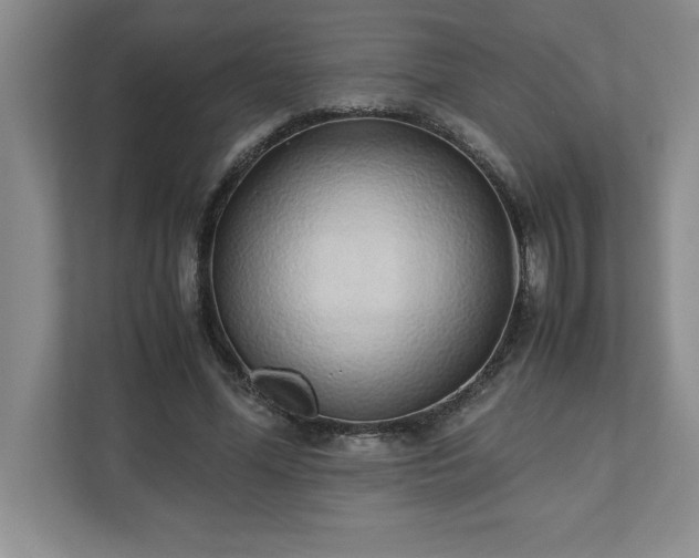 X0000110770588200906221144