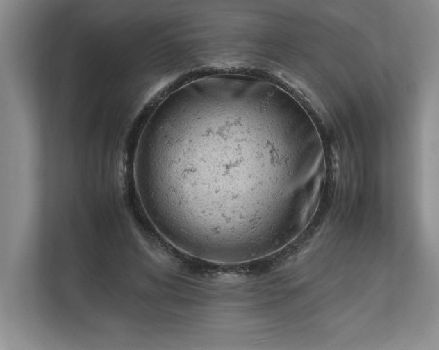 X0000110770592200906221144