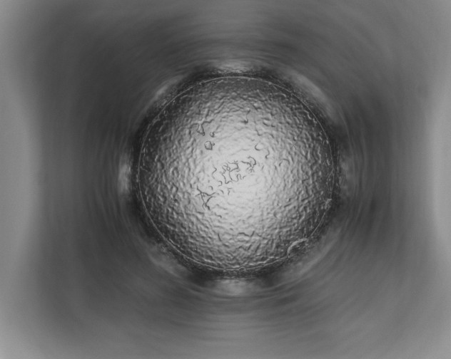 X0000110770596200906221144