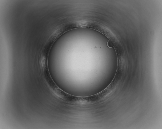 X0000110770598200906221144