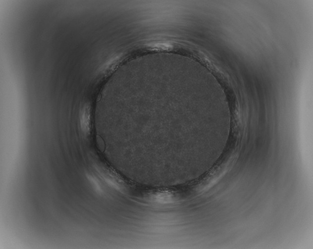 X0000110770600200906221144