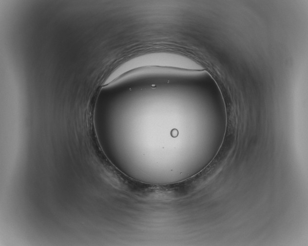 X0000110770601200906221143