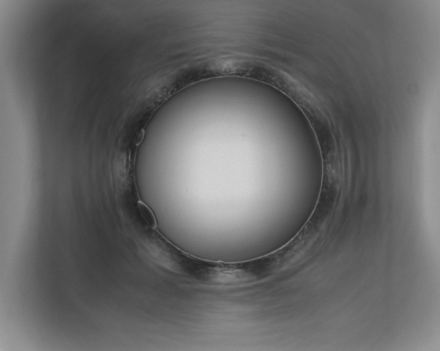 X0000110770605200906221143