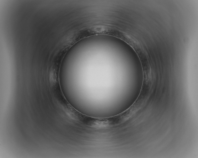 X0000110770606200906221143