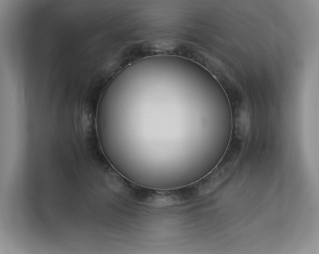 X0000110770608200906221143