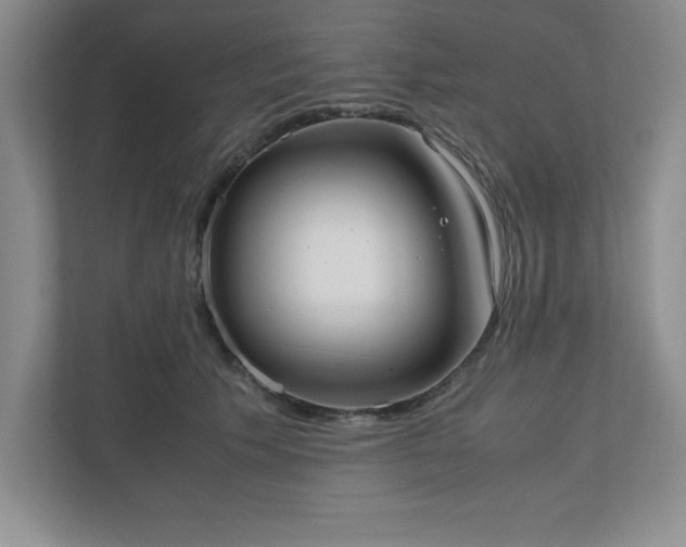 X0000110770609200906221143