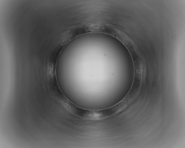 X0000110770610200906221143