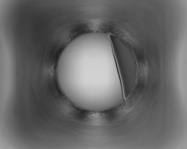 X0000110770611200906221143