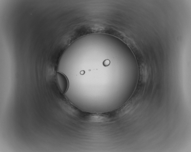 X0000110770614200906221143