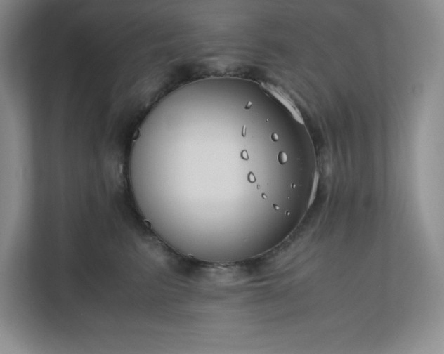 X0000110770615200906221143