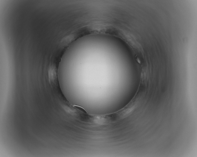 X0000110770623200906221143