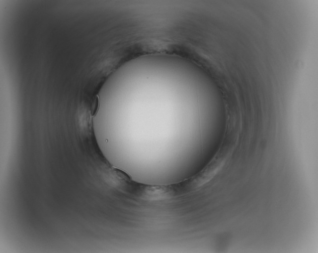 X0000110770624200906221143